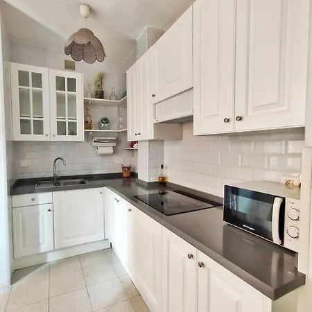 公寓 Piso En El Centro De 希洪